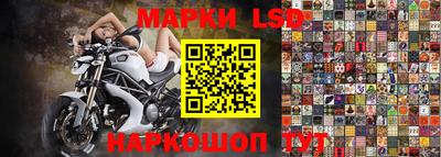 ALPHA PVP Гай