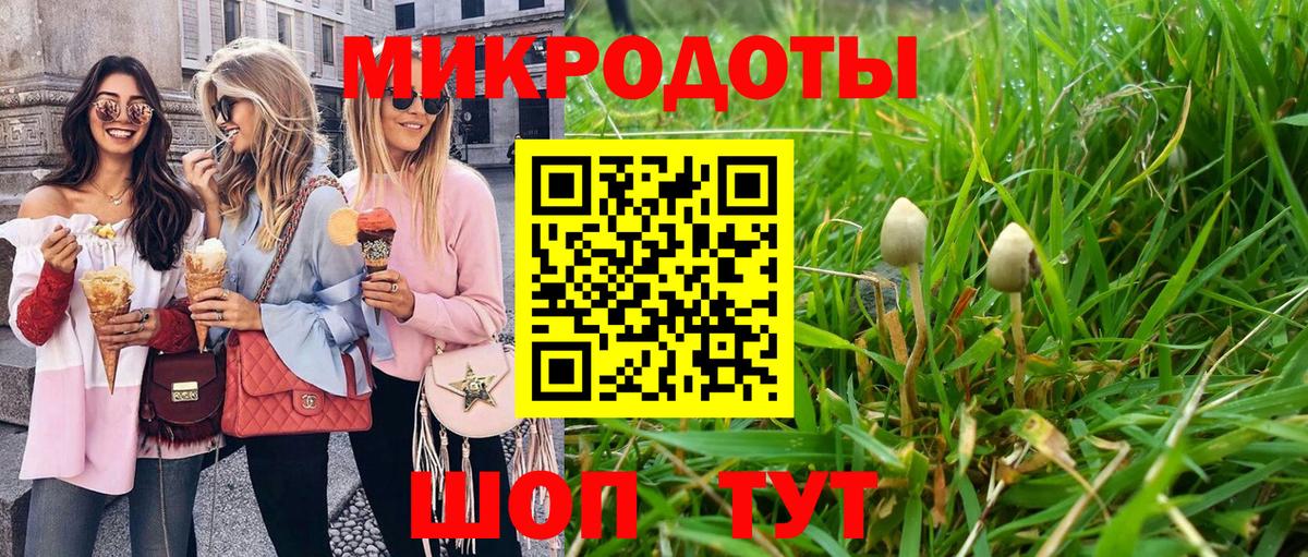 Галлюциногенные грибы Psilocybe Менделеевск