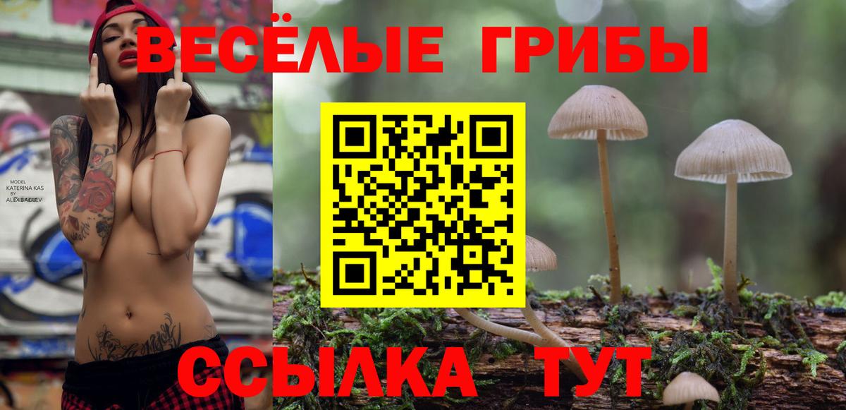 Менделеевск  Псилоцибиновые грибы мицелий  Вход с VPN  Галлюциногенные грибы прущие грибы 