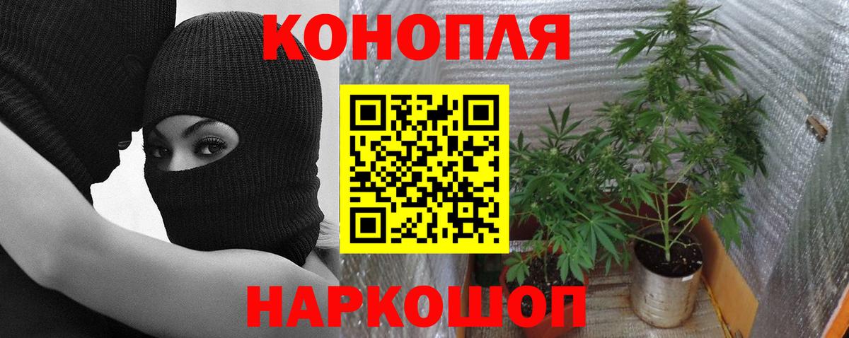 Шишки марихуана планчик Менделеевск
