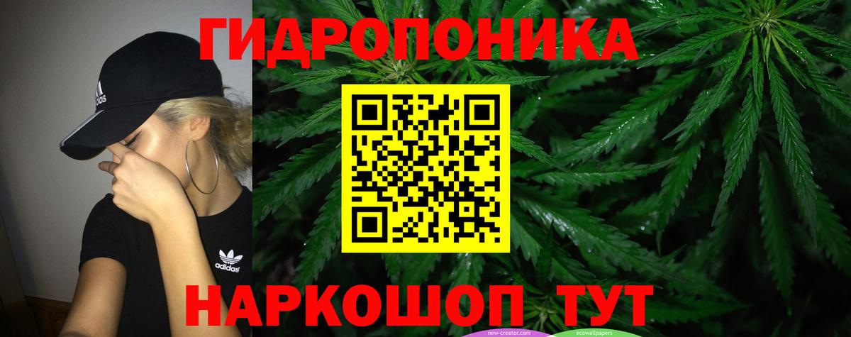 Канабис план  Бошки Шишки White Widow  Вход с VPN  Бошки марихуана конопля  Каннабис SATIVA & INDICA  Менделеевск 